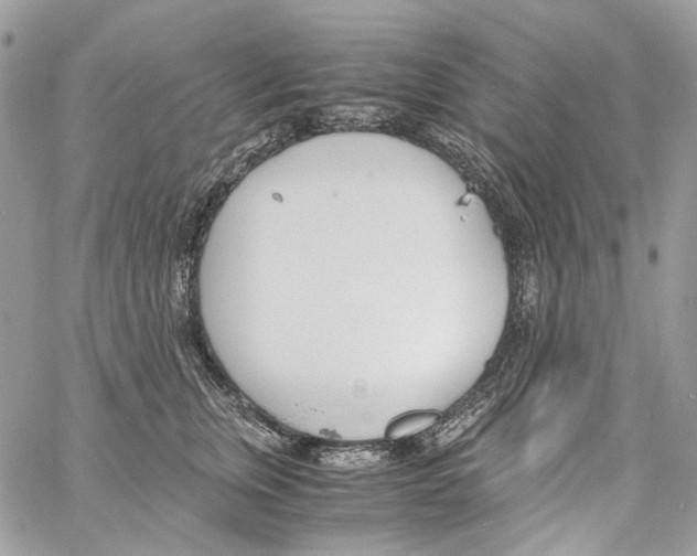 X0000061720759200512302119