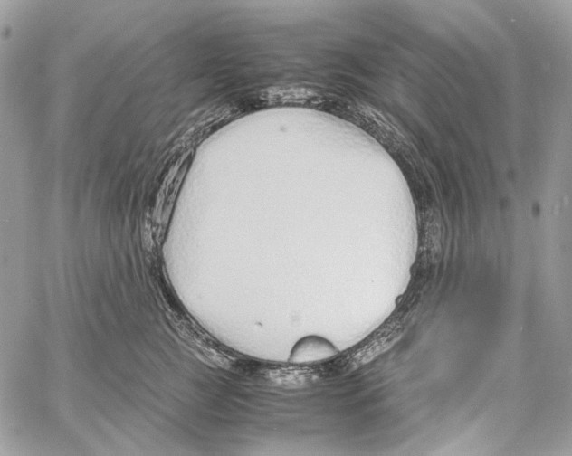 X0000061720761200512302119