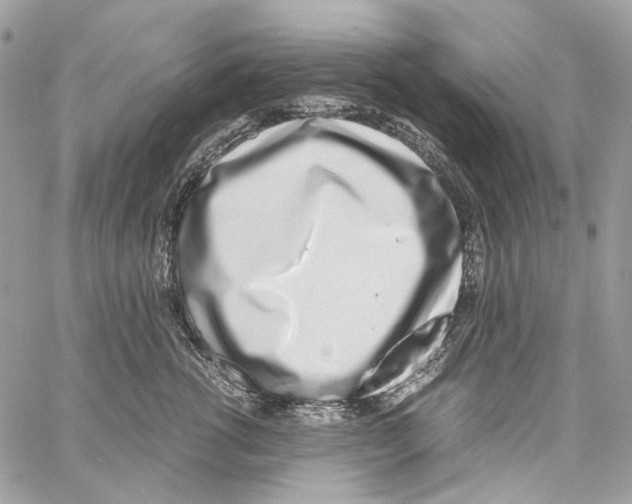 X0000061720762200512302120