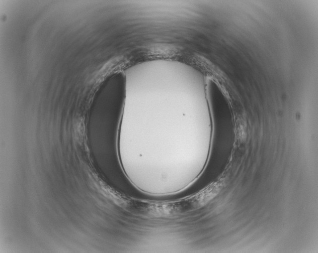 X0000061720764200512302120