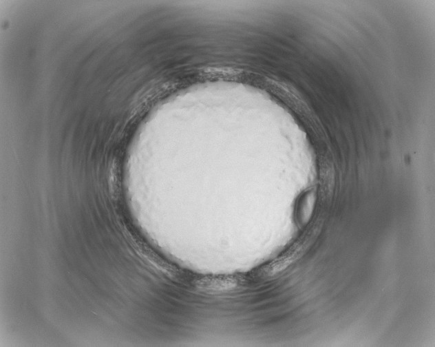 X0000061720765200512302120