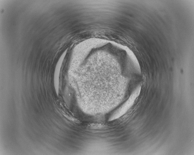 X0000061720766200512302120