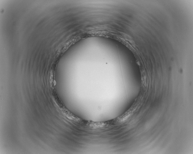 X0000061720767200512302120