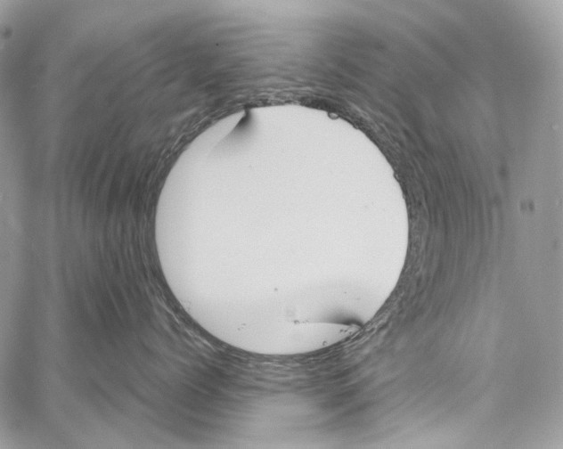 X0000061720768200512302120