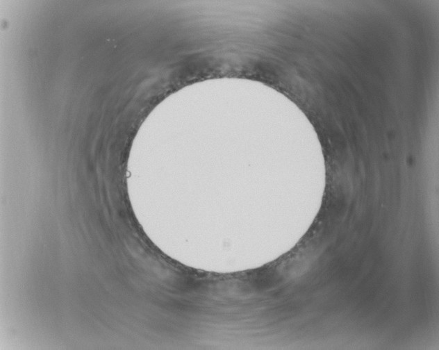 X0000061720769200512302119