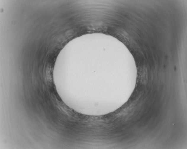 X0000061720770200512302119