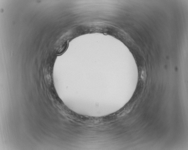 X0000061720771200512302119