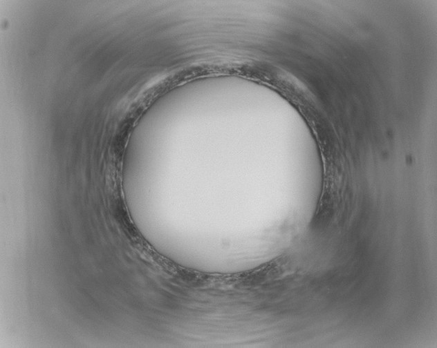 X0000061720773200512302119