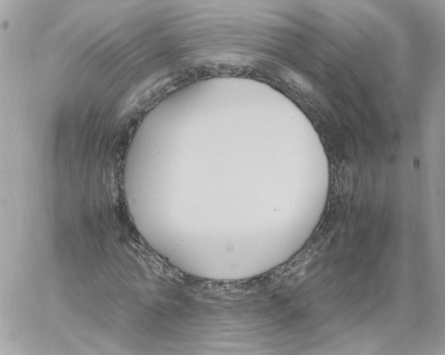 X0000061720774200512302119