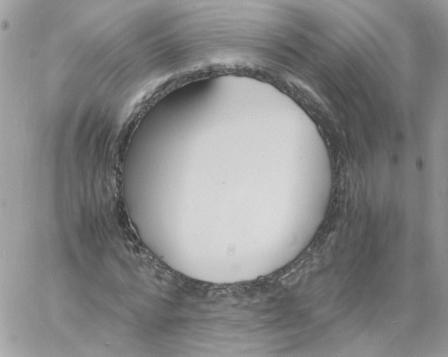 X0000061720776200512302119