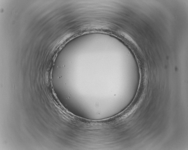 X0000061720777200512302119