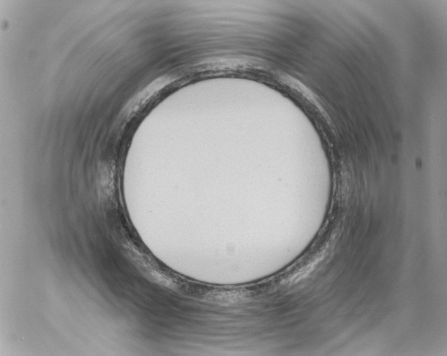 X0000061720778200512302119