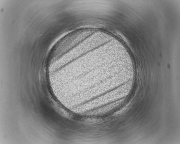 X0000061720779200512302119