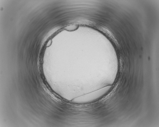 X0000061720780200512302119