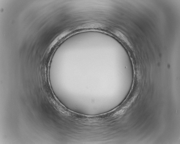 X0000061720781200512302119