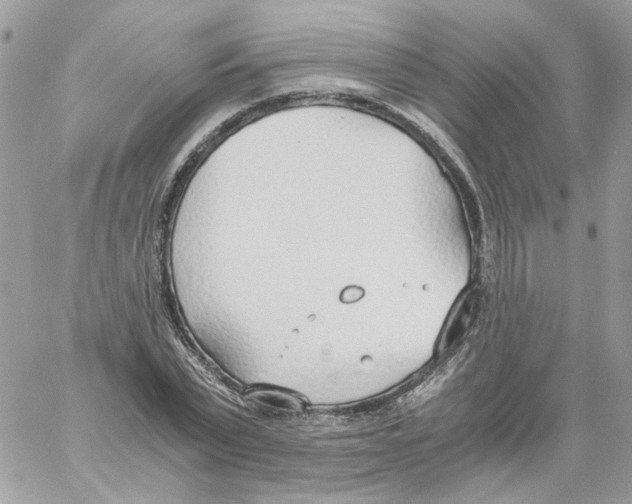 X0000061720783200512302119