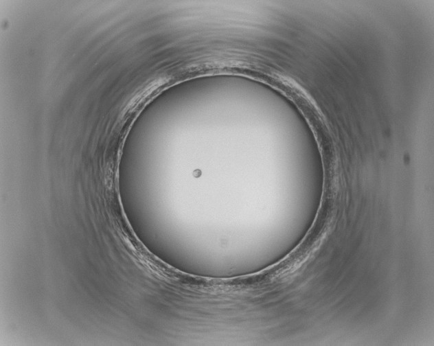 X0000061720785200512302119