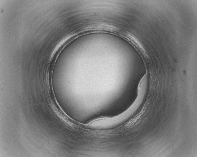 X0000061720788200512302118