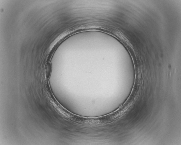 X0000061720789200512302118