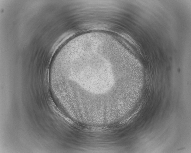 X0000061720790200512302118