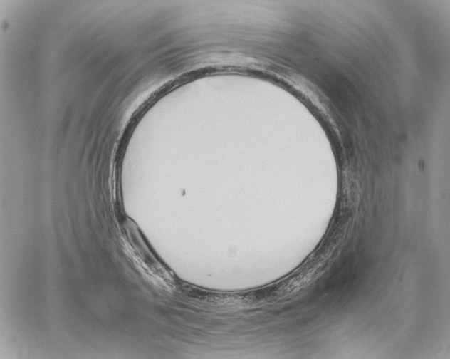 X0000061720791200512302118