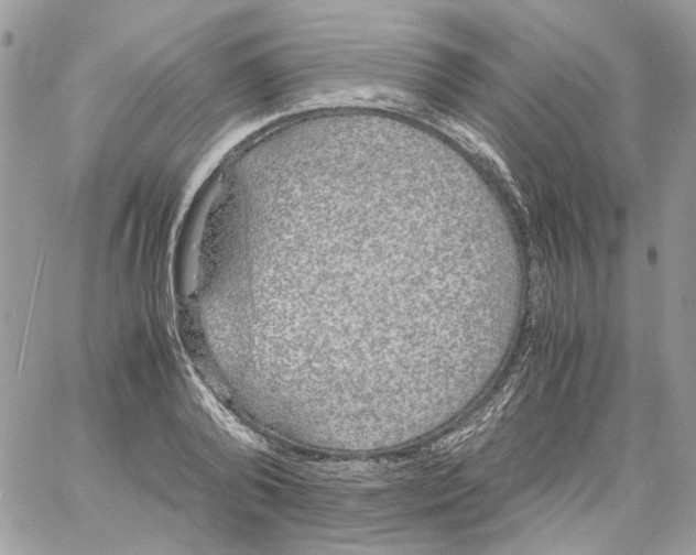 X0000061720792200512302118