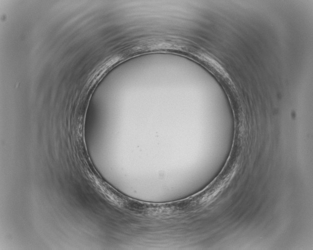 X0000061720793200512302118