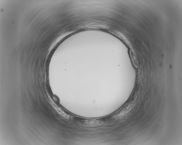 X0000061720795200512302118