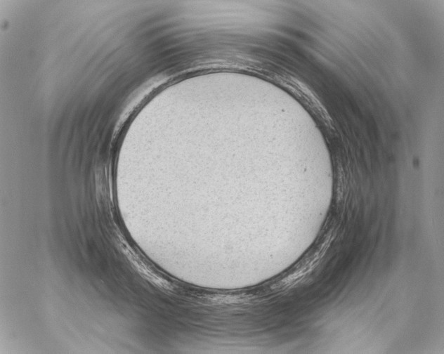 X0000061720796200512302118