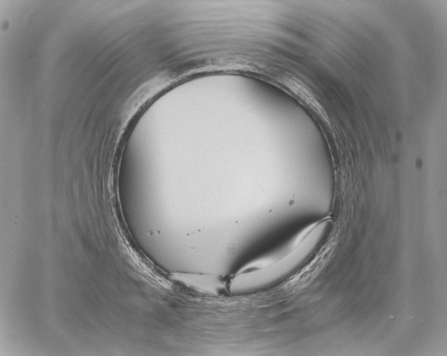 X0000061720797200512302118