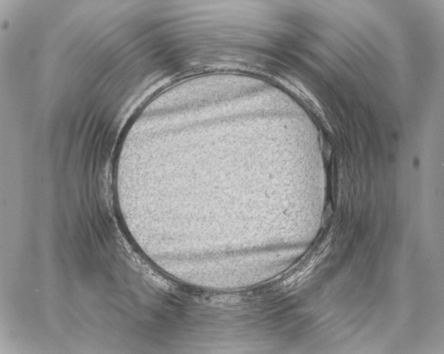 X0000061720798200512302118