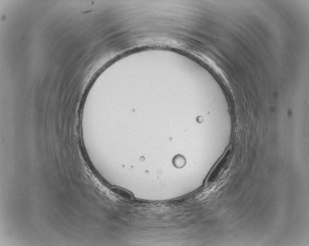 X0000061720799200512302118