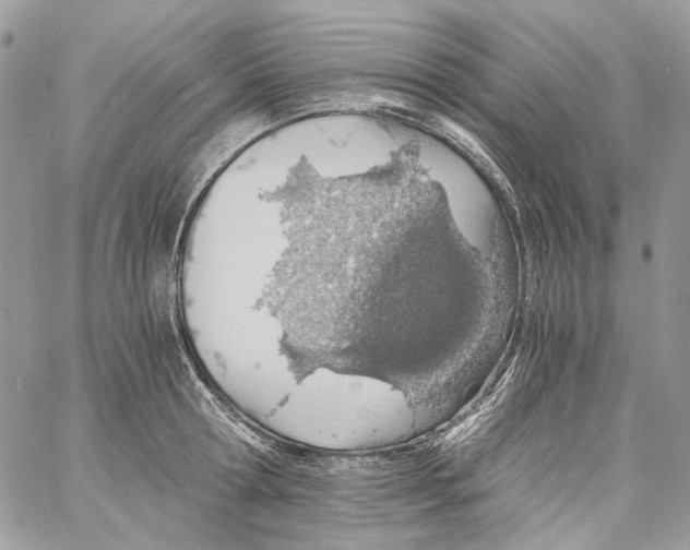 X0000061720802200512302118