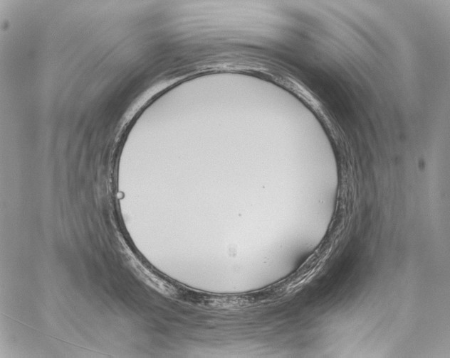 X0000061720803200512302118