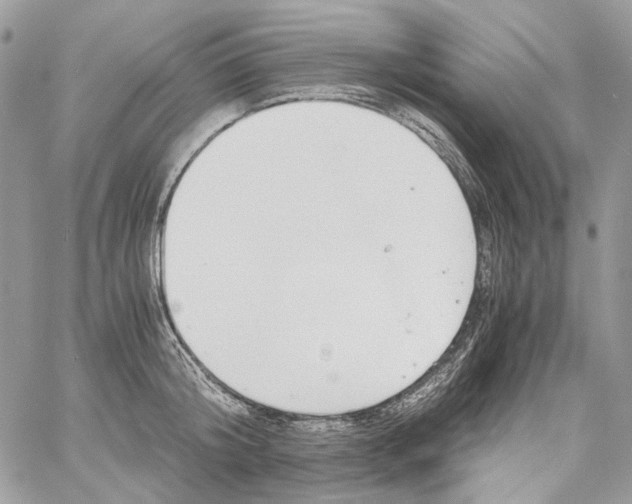 X0000061720804200512302118