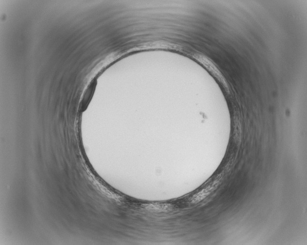 X0000061720805200512302118