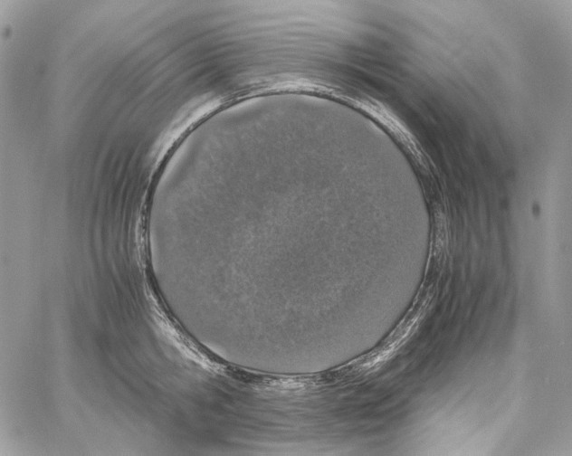 X0000061720806200512302118