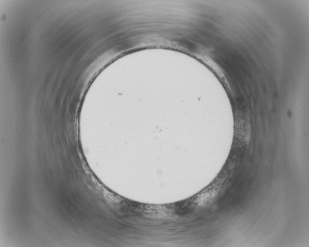 X0000061720807200512302118