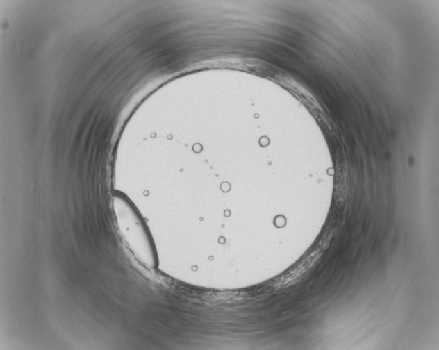 X0000061720808200512302118