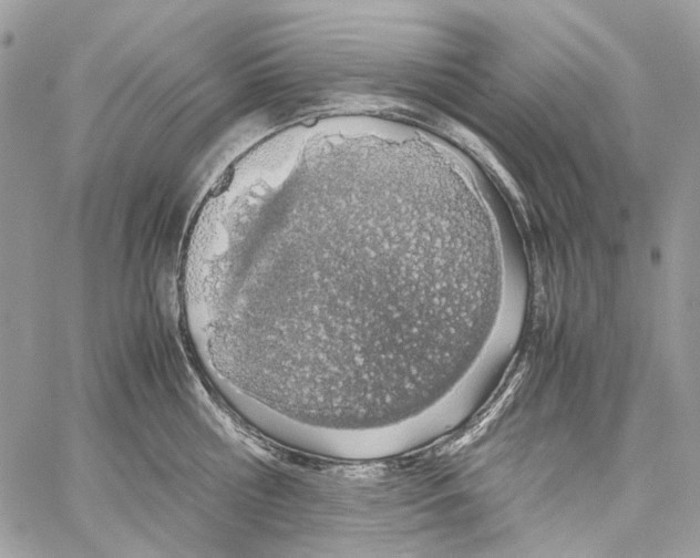 X0000061720810200512302118