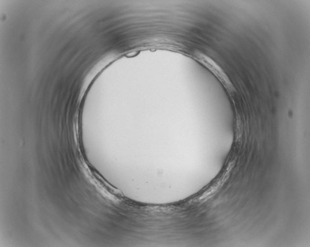 X0000061720812200512302118