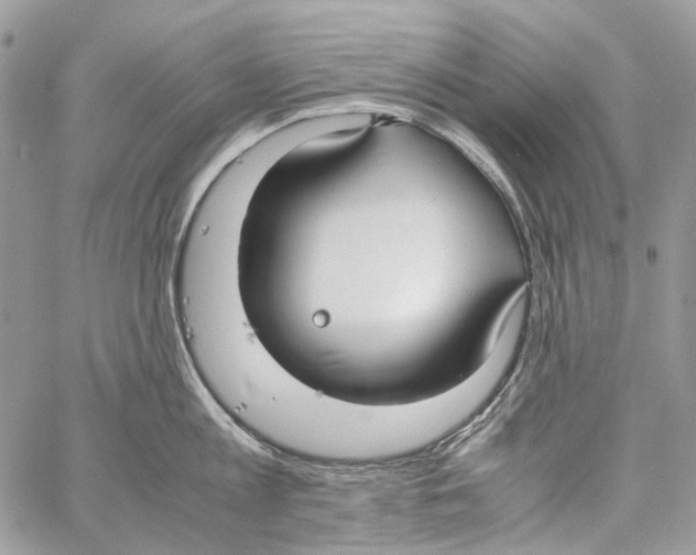 X0000061720813200512302118