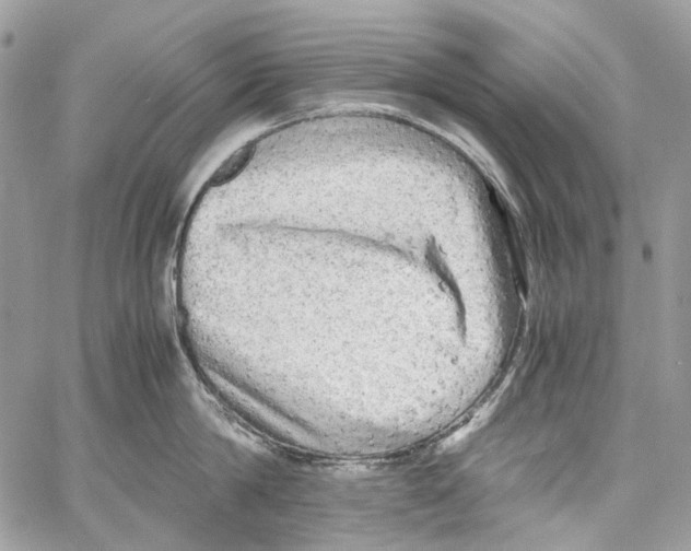 X0000061720814200512302118