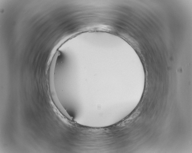 X0000061720816200512302118