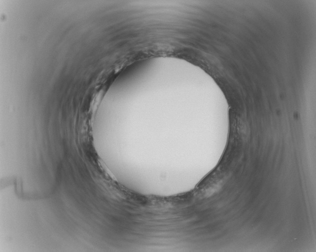 X0000061720818200512302117