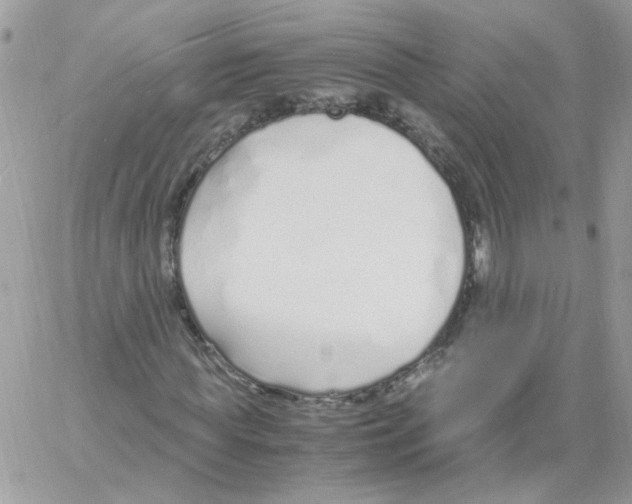 X0000061720819200512302117