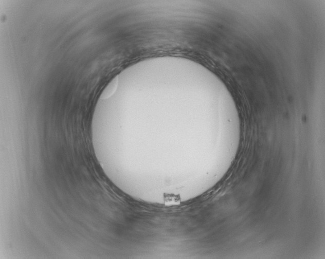 X0000061720820200512302117