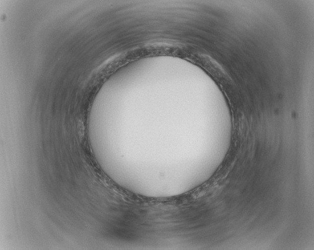 X0000061720821200512302117