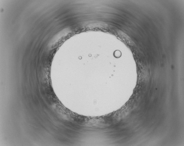 X0000061720824200512302117