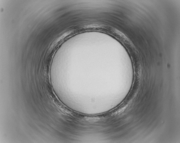 X0000061720825200512302117